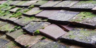 Macduff roof repair costs